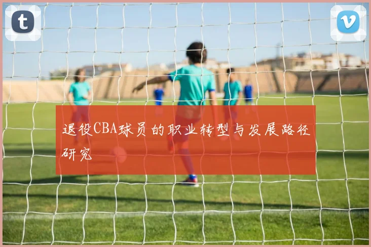 退役CBA球员的职业转型与发展路径研究