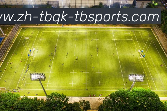 天博体育发展历程